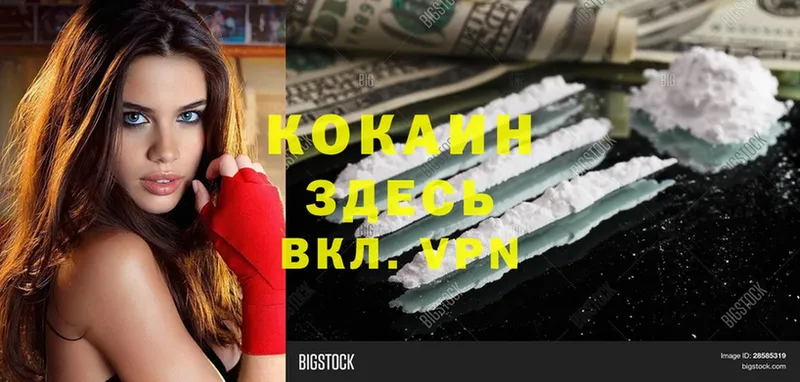 COCAIN Эквадор Владимир